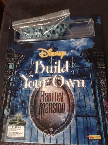 Build Your Own Haunted Mansion Book Set