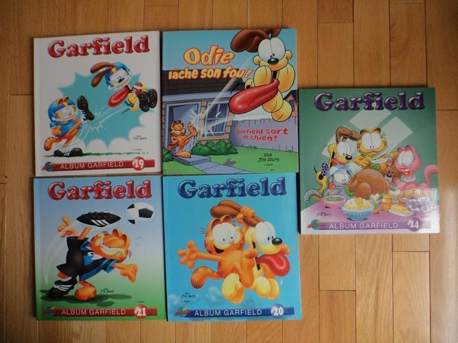 French Language - Garfield Comic books - Large size 8x8inches