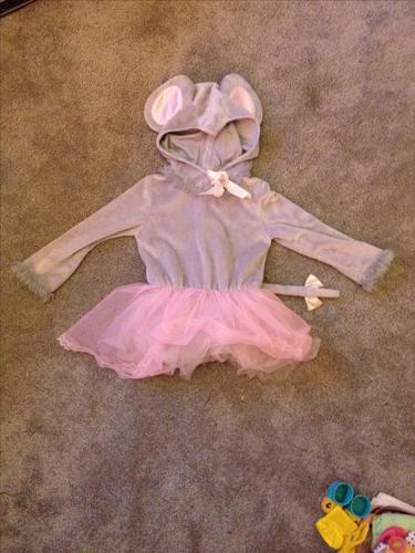 Mouse Ballerina Costume