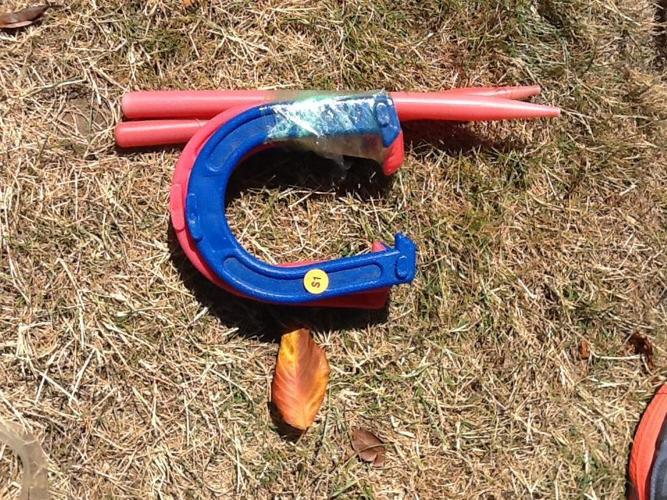 Plastic horse shoes and stakes