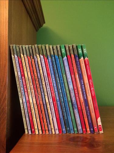Set of 21 Magic Treehouse books
