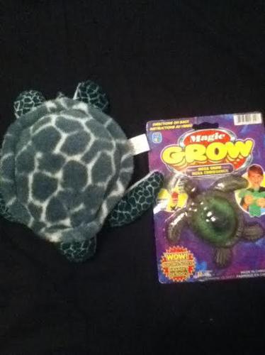 turtle  plush and magic grow turtle  a lot