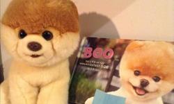 Boo the dog plush toy and book