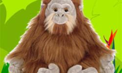 Webkinz
 
Everyone loves to hang with the Orangutan! This kind primate enjoys having company over and loves to host parties. Find the Orangutan by the Tropical Tree Storage Trunk, savoring a Fancy Fig Smoothie. Special Item: Treetop Tower
Special Food: