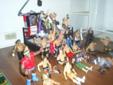 25 wrestlers money in the bank ring and crash ring