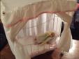 DOLL CANOPY BED