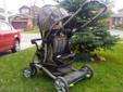 Fisher Price Sit and Stand Stroller