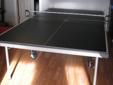 Ping Pong (Table Tennis) table
