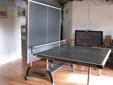 Ping Pong (Table Tennis) table